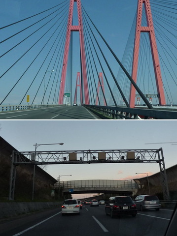 20100321_84.jpg