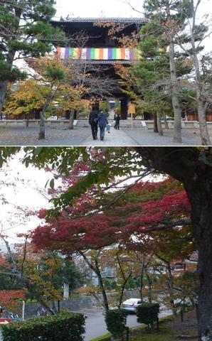 20101107_160.jpg
