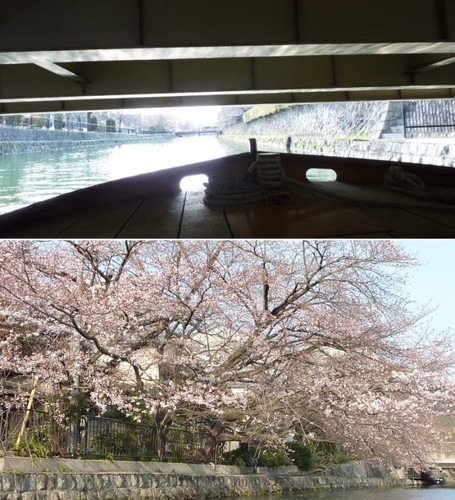 20110403_007.jpg