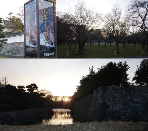 20110403_010.jpg