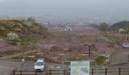 20120421_026.jpg