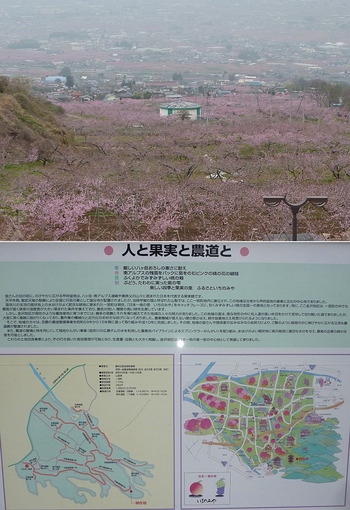 20120421_155.jpg