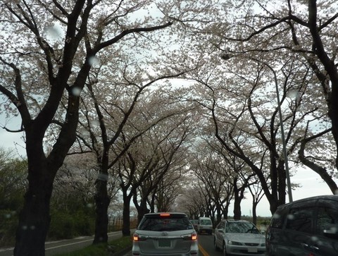 20140406_1.jpg