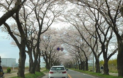 20140406_2.jpg
