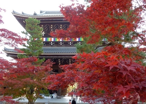 20141122_1.jpg