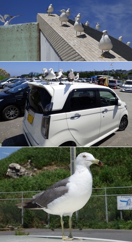 20150809_72.jpg