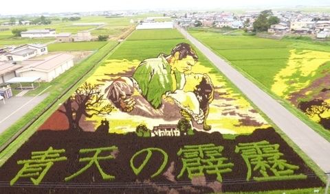 20150810_54.jpg