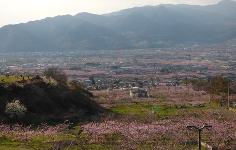 20170415_4.jpg