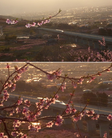 20170415_7.jpg