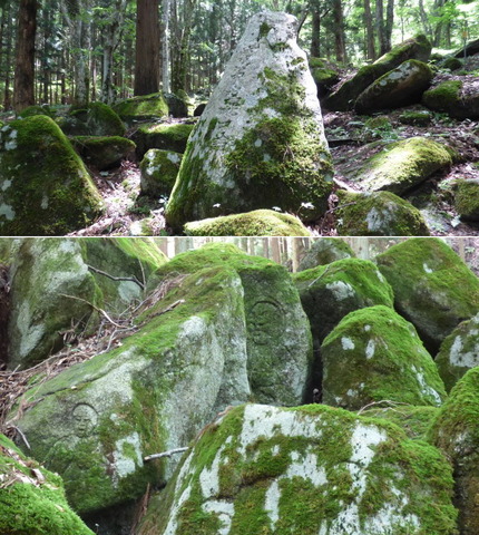 20180712_65.jpg