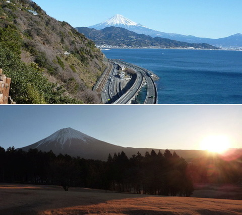 8shizuoka.jpg
