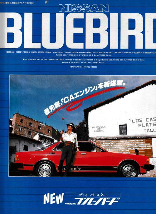 bluebird910_01.jpg