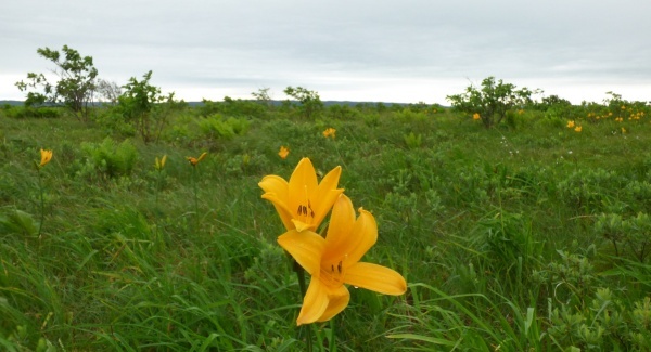 hokkaido2024_309.jpg