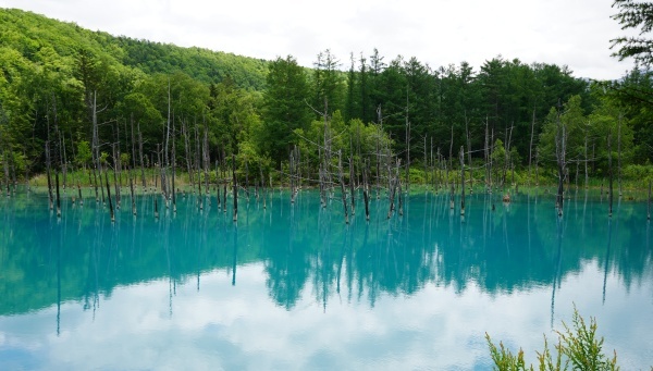 hokkaido2024_515.jpg