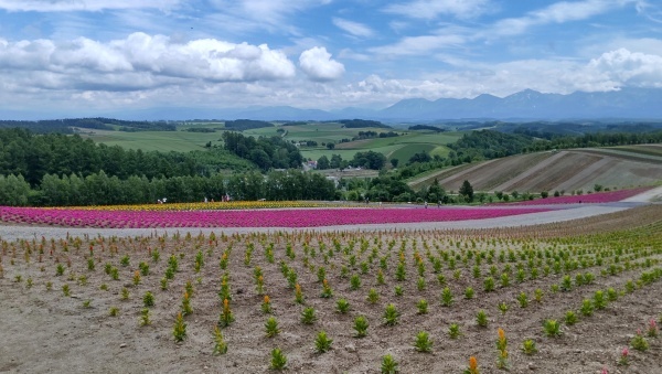 hokkaido2024_517.jpg