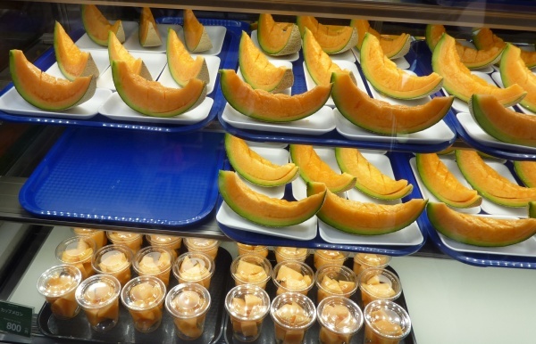 hokkaido2024_523.jpg