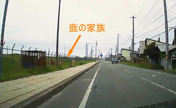 hokkaido2024_907.JPG