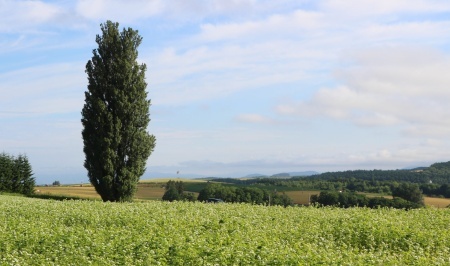 hokkaido202503_13.jpg
