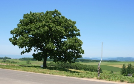 hokkaido202503_14.jpg