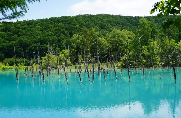 hokkaido_202501_5.jpg