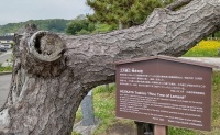 hokkaidop_034s.jpg
