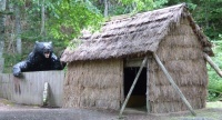 hokkaidop_040s.jpg