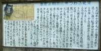 hokkaidop_042s.jpg