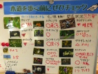 hokkaidop_048s.jpg