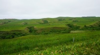 hokkaidop_060s.jpg