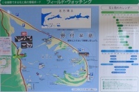 hokkaidop_080s.jpg