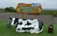 hokkaidop_081s.jpg