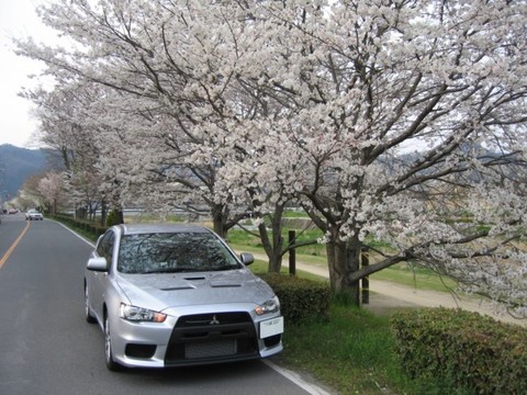 kamogawa.jpg