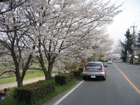 kamogawa2.jpg