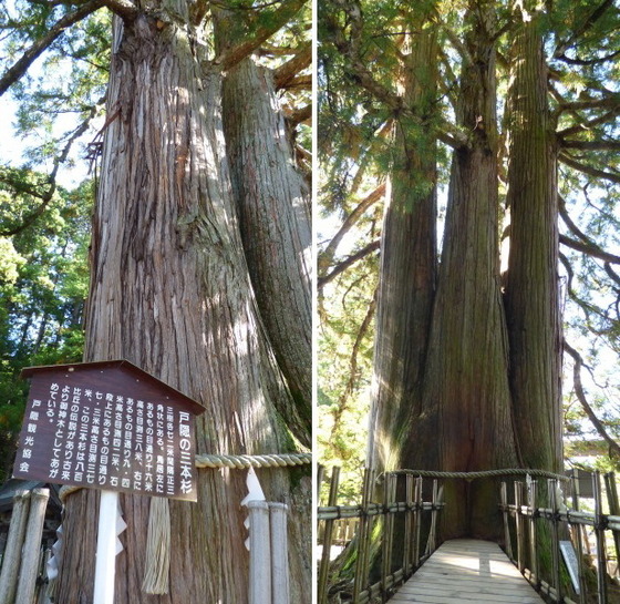 nagano2019_26.jpg