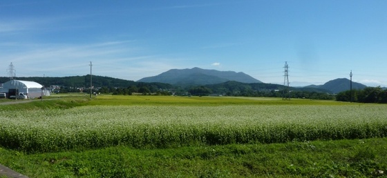 nagano2019_29.jpg