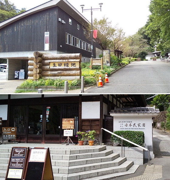 okamoto1.jpg