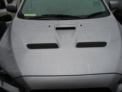 rainbody.jpg