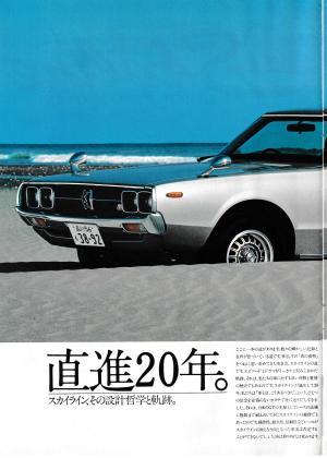 skyline_c110_18.jpg