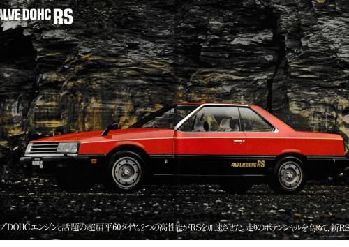 skyline_r30_120.jpg