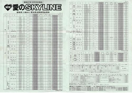 skyline_r30_125.jpg