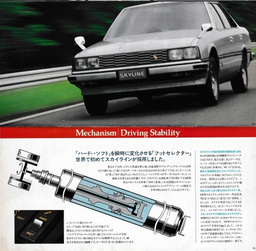skyline_r30_133.jpg