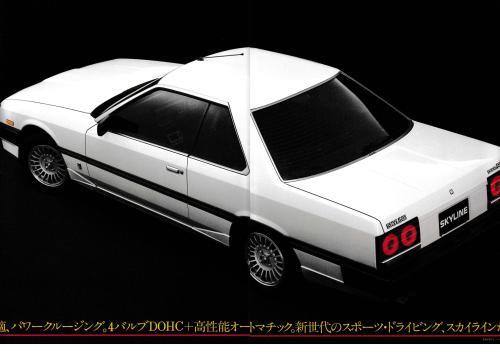 skyline_r30rs_05.jpg