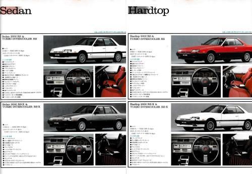 skyline_r30rs_09.jpg