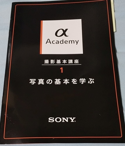 sony202007_3.jpg