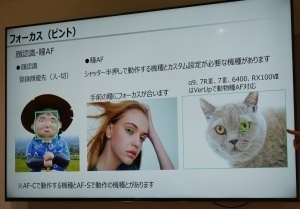sony202007_4.jpg