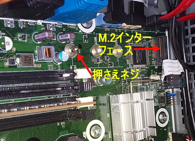 ssd2020_13.jpg