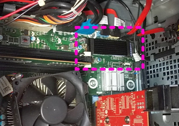 ssd2020_14.jpg