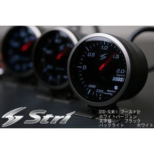 stri_dsd-slm2.jpg